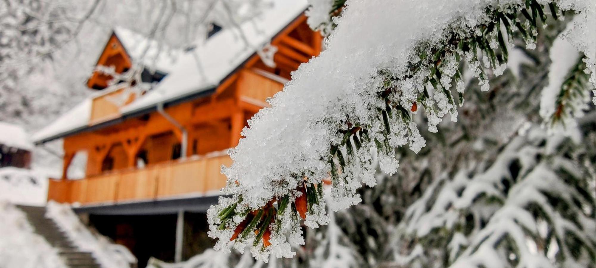 Dom Pod Lesniczowka Villa Zachelmie  Exteriör bild