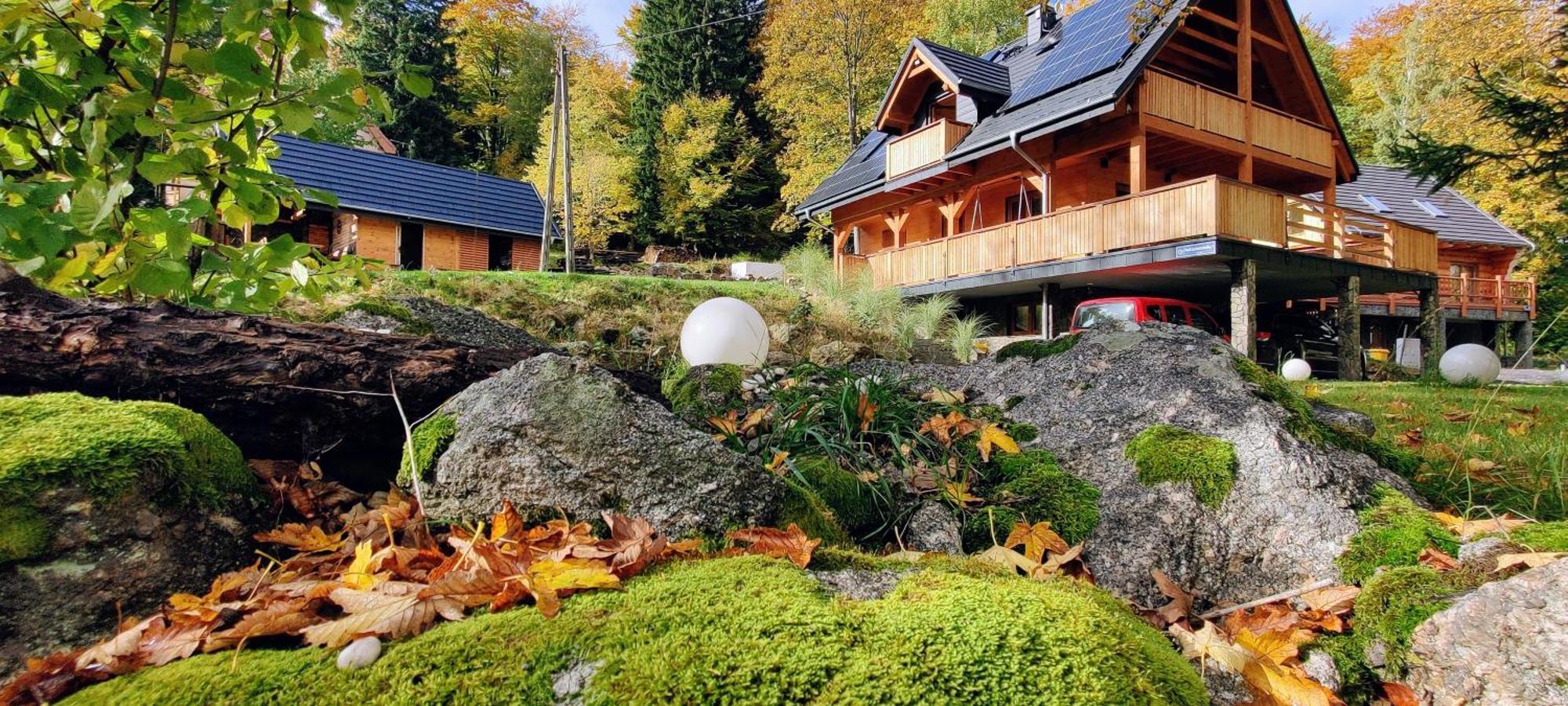 Dom Pod Lesniczowka Villa Zachelmie  Exteriör bild